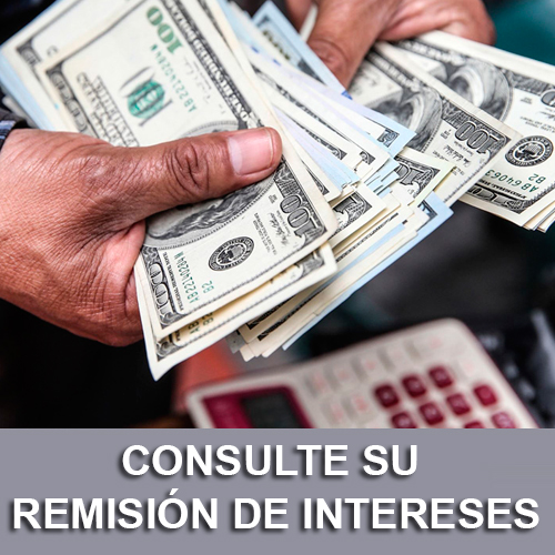Remisión de Intereses